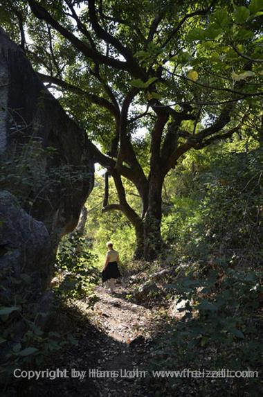 05 Mount_Abu_DSC4131_b_H600